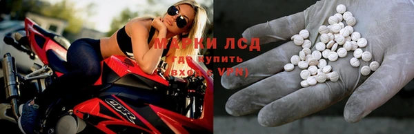 стаф Нефтекумск