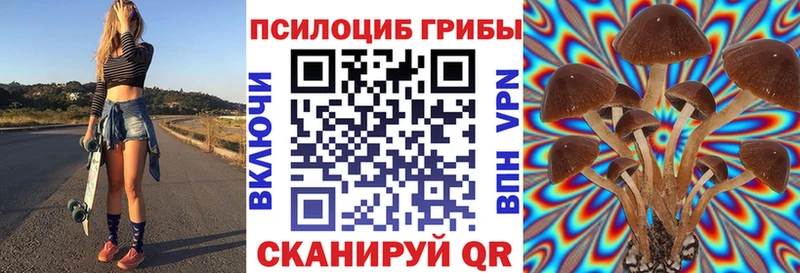 Галлюциногенные грибы Magic Shrooms  Купить  Тотьма 